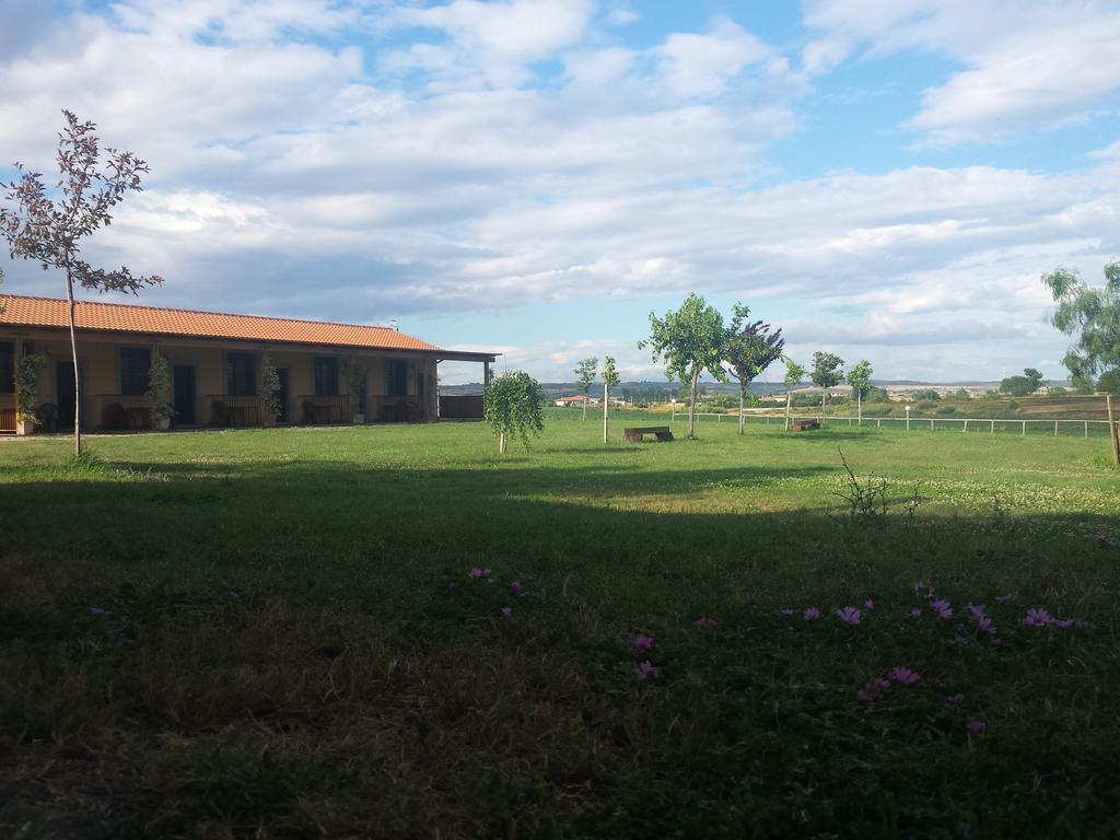 Agriturismo San Matteo Tarquinia Room photo