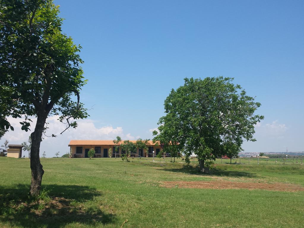 Agriturismo San Matteo Tarquinia Room photo